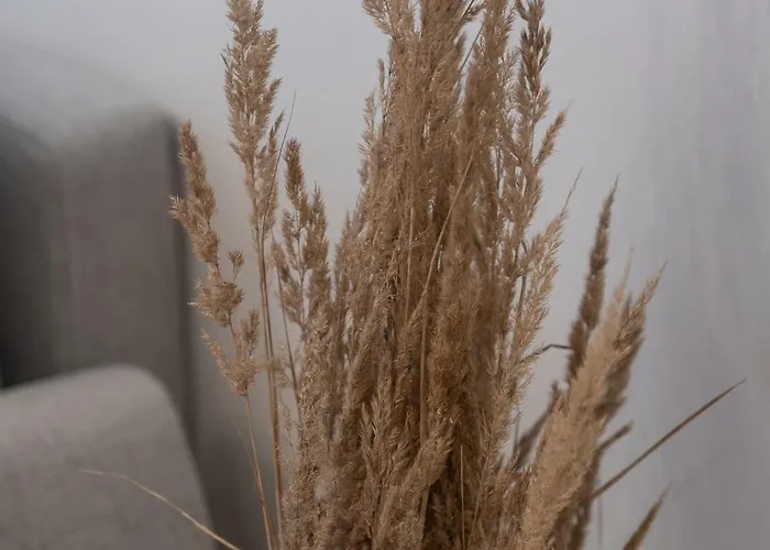 Munn 3 Appartement Szczecin